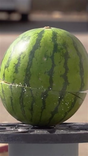 Explore Japan's Iconic Zatoichi Film Series