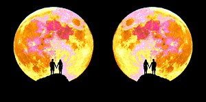 How Each Of The 8 Moon Phases Affect Your Love Life
