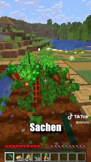 Das beste Farming Werkzeug in Minecraft: Glück 3 nutzen