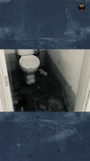 Anemos Stories on Instagram