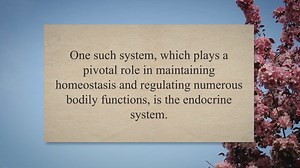 The Endocrine System