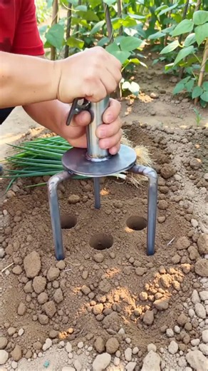 The Easiest Way to Plant Onions! 🧅 #farming #short #viralvideo