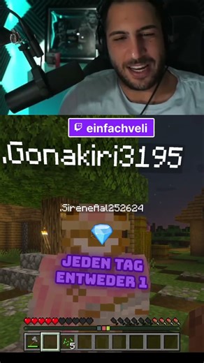 einfachveli führt die 'Rothschild Bank' in Minecraft ein! Steuern und Raubzüge?