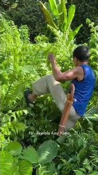 Harvesting Wild Jungle Greens & Ferns! 🌿 (River Foraging) #Shorts