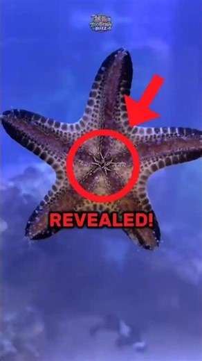 Cut Off an Arm… It Grows Back?!😱