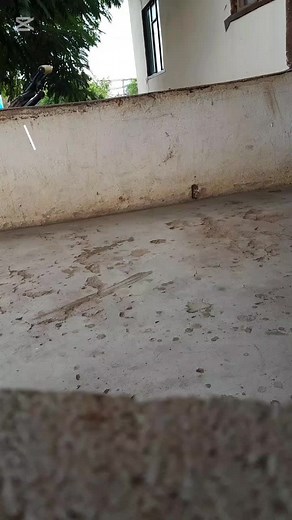 #vlog #vlog #fypシ゚viral🖤tiktok #fypviraltiktok🖤シ゚☆♡ #botswana🇧🇼tiktok #vlog