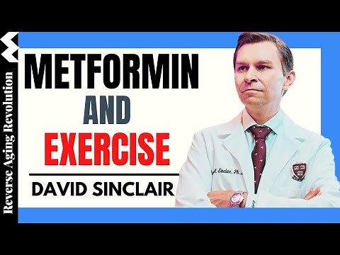 DAVID SINCLAIR “Metformin & Exercise” | Dr David Sinclair Interview Clips
