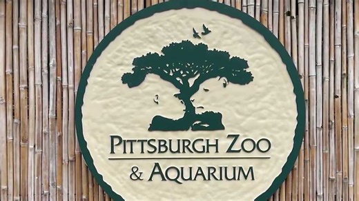 Pittsburgh Zoo announces plans to enhance care, conservation of elephants