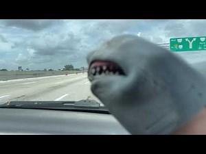 SB Short: Shark Puppet screams at a plane landing!
