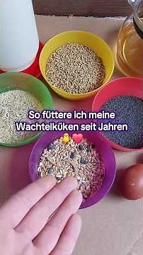Ernährung von Wachtelküken in den ersten 5 Wochen 🐣...#wachtigel #wachtelküken #wachteln