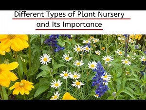 What is a Plant Nursery? Types of Plant Nurseries - Importance of Plant Nursery