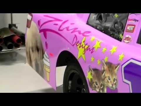 Kyle Busch's pink car from the commercial!