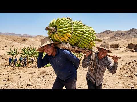 How Humans Grow Bananas in Dry Land by 2100 | Extreme Survival Farming