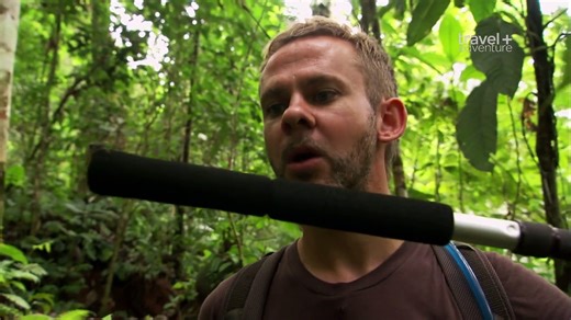 Wild Things with Dominic Monaghan - Lemur Leaf Frog