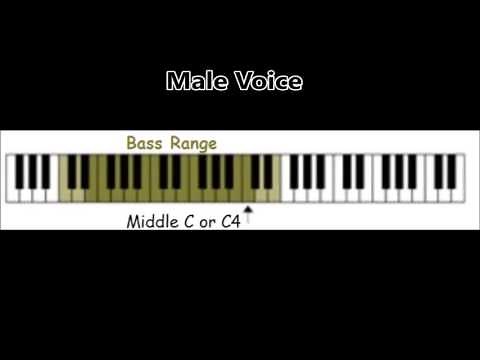 OHDELA-Vocal Ranges - Bass, Tenor, Alto, Soprano