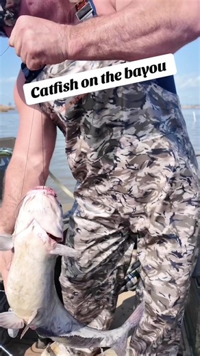Come along as we catch these beautiful blue cats on the Bayou and cook them right here on the boat ! #catfish #stalekracker #Louisiana #cooking