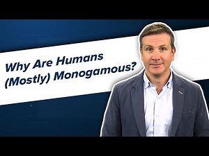 Why Are Humans (Mostly) Monogamous? | Impact Factor | Medscape