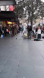 1.6M views · 39K reactions | One-legged pigeon bops to busker playing Robin Thicke's Blurred Lines. | Bass Players United | Facebook