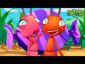 Sugar Rush | 1 Hour Antiks Full Episodes | Funny Insect Cartoons for Kids