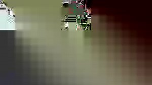 Humans are just starting to understand this nearly invincible creature — and it's fascinating. | Insider Science