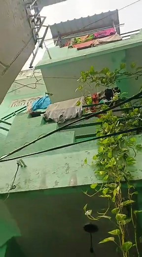 1.7K views | udaykumar Aro Breeza Plot Owner Panabakam: Length - 33.3 Breadth - 40 Edi exact plot. 37 ankanalu Aro Breeza Plot Owner Panabakam: Inka 14ankanams cross vundhi udaykumar Aro Breeza Plot Owner Panabakam: Total 51 ankanams on paper per ankanam cost only 90k small negotiable Tuda Approvel site' golden offer don't miss it west south cornner | Rudramadevi S R | Facebook