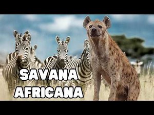 WILD SAVANNAH: Animals of the African Savannah - Documentary