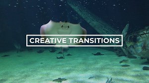 Download Creative Transitions - Videohive - aedownload.com