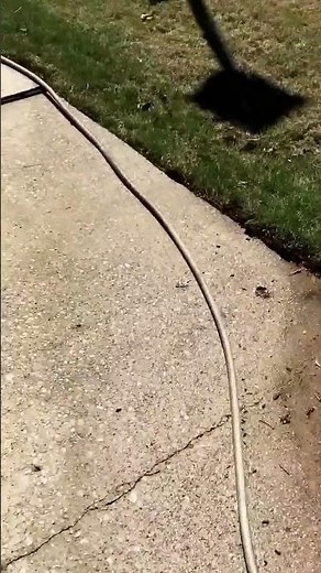 WAYNE Pumps WWB WaterBUG Submersible Pump