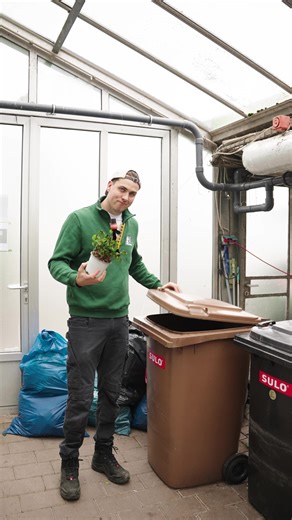 Glücksklee Pflege: Tipps für ein glückliches Wachstum