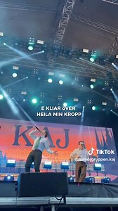 Live Performance of Mosquito at Ruisrock Festival