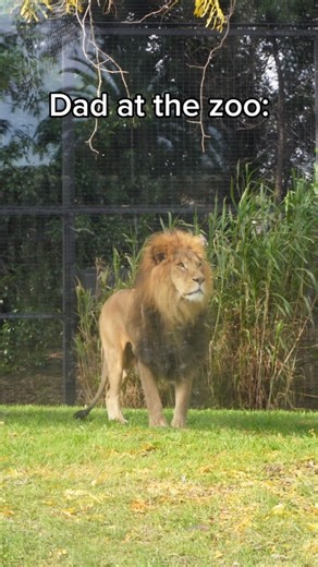 514K views · 7.6K reactions | No bloody garden edging | Luke Donkin | Facebook