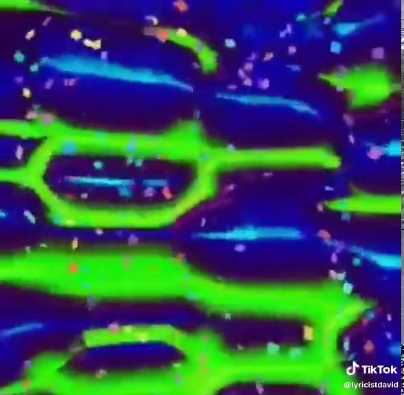 Travel Back to 1982 with David London