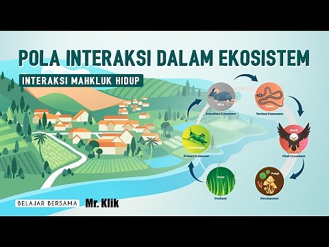 INTERACTION PATTERNS IN ECOSYSTEMS