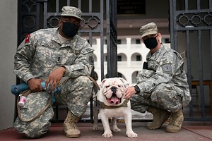 Meet The Citadel's new mascot, Gen. Mike D. Groshon, a.k.a. G3 - The Citadel Today