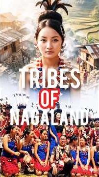 Northeast Nagaland 17 Tribes of India | Amazing Culture & Tradition 🔥#ytshorts #youtubeshorts