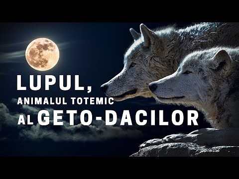 LUPUL - Animalul TOTEMIC al GETO-DACILOR