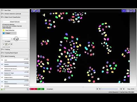 Tracking workflow, ilastik v1.3.3