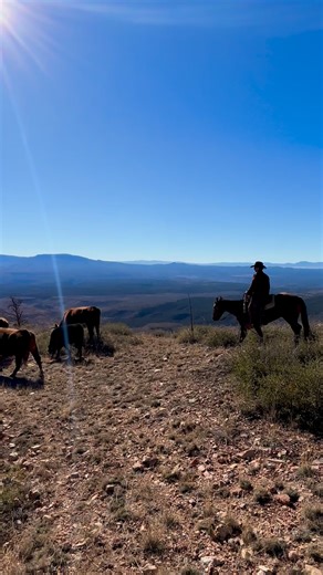 Arizona ranching isn’t just about cattle, it’s about survival, family, and community. Long days, open country, and deep roots shaped the West we know today 🏜️ Learn more Arizona ranching history inside the Heritage Center today! | Prescott Western Heritage Foundation, Inc.