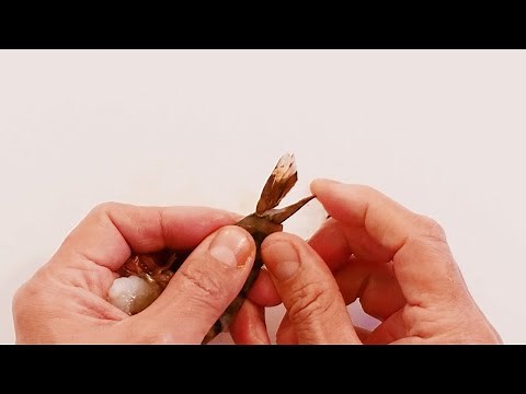 えびの下処理（天ぷら・フライなど）