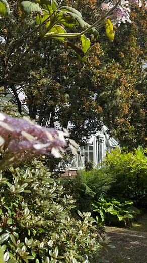 9.1K views · 189 reactions | Arduaine is full of colour and...