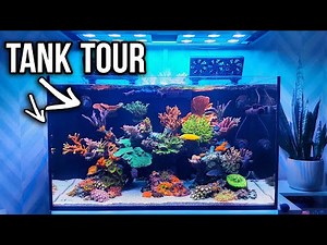 Reef Tank Coral Tour and Tank Update - Red Sea Reefer 250