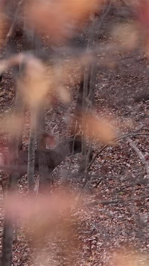 93 reactions | Boston’s the backup plan. | The Keefer Brothers | Facebook