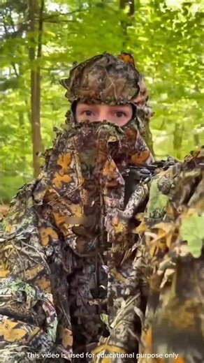 This Suit Makes You Invisible in Real Life 😱 | Wildlife Photography Secrets #youtubeshorts #viral
