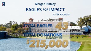 Best eagles from Round 3 at THE PLAYERS