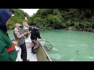 Talon Air - Salmon Fishing & Bear Viewing Trip. Soldotna, Alaska