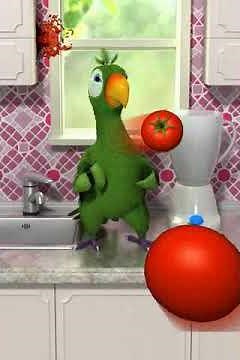 Talking Pierre the parrot