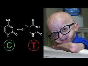 Base editing successfully treats progeria in mice