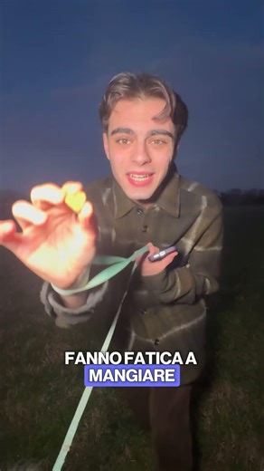 Scopri Flora Plus di Pet Sprint in offerta limitata su TikTok Shop!
