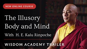 ✨ ANNOUNCING: NEW ONLINE COURSE WITH H. E. KALU RINPOCHE (Enroll early & save!) ✨ Enter the tantric teachings of the six yogas of Niguma, guided by the lineage master H. E. the 2nd Kalu Rinpoche. ✨ The Wisdom Academy is pleased to announce that early bird enrollment is open for The Illusory Body and Mind, the new course with H. E. the 2nd Kalu Rinpoche. You can save $50 when you enroll in this course—just use the code ILLUSION50 when you check out. (Offer good until February 27, 2024.) Click her