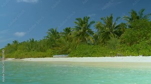 Idyllic shot of towering palm trees rustling in the gentle wind as turquoise ocean washes the empty sandy shore. Old boat is left stranded in the greenery of a remote tropical island in the Maldives.